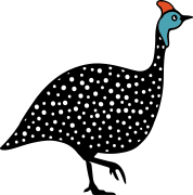 Guinea fowl illustration